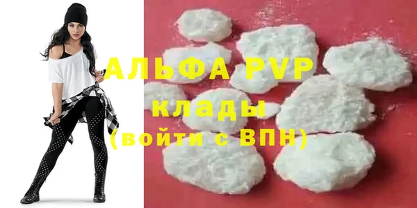 стаф Гусев